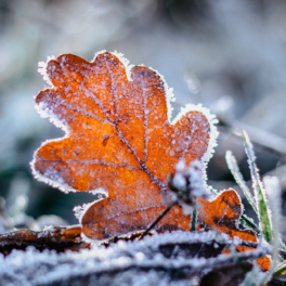 В Башкирии ожидается похолодание до минус 6°C