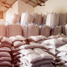 Правительство России продлило запрет на экспорт риса