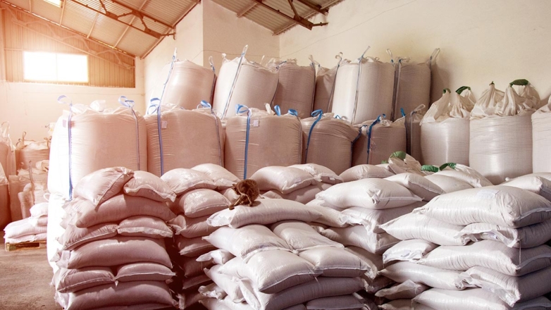 МИД: безвозмездные поставки зерна из РФ в Африку выполнят до конца года