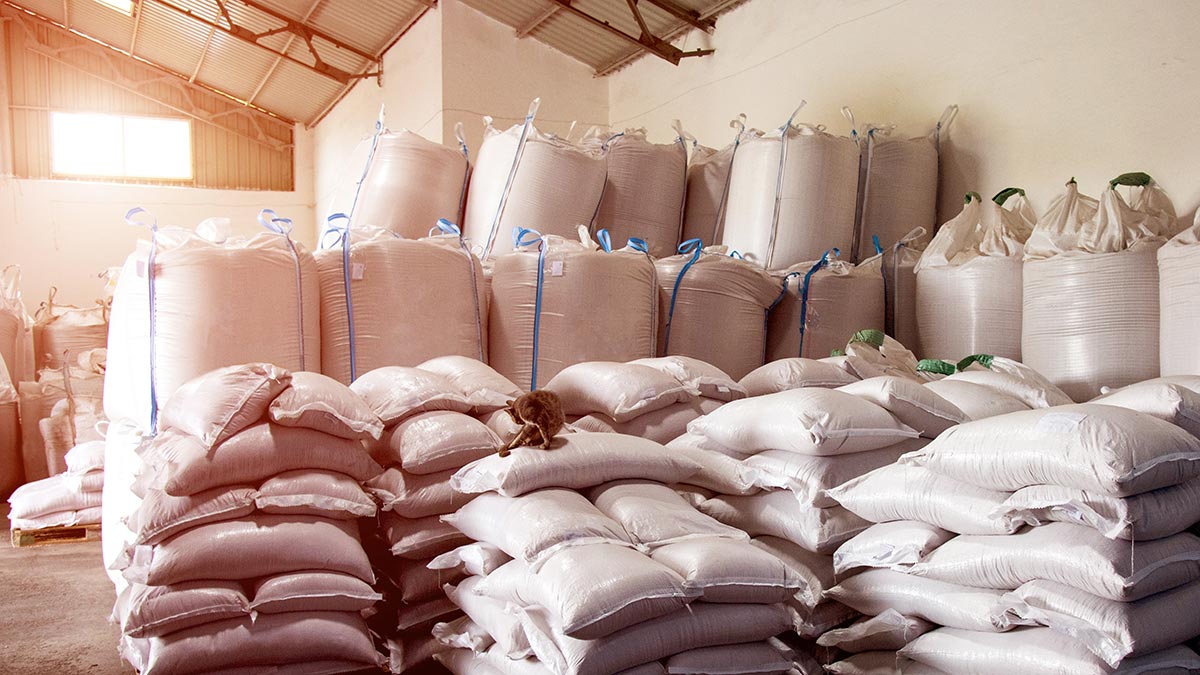 Правительство России продлило запрет на экспорт риса
