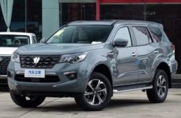 Внедорожники Nissan приедут в Россию из Китая под новым брендом