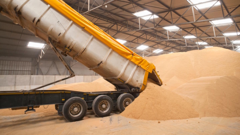 Минсельхоз предложил временно запретить вывоз твердой пшеницы ‎из России