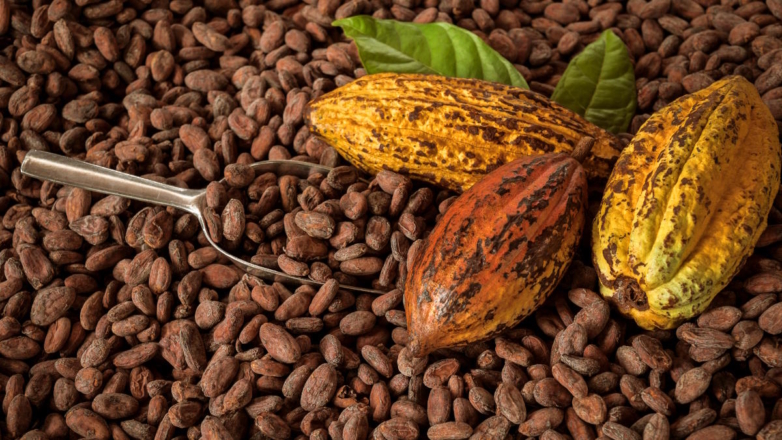 Биржевые цены на какао побили почти полувековой рекорд