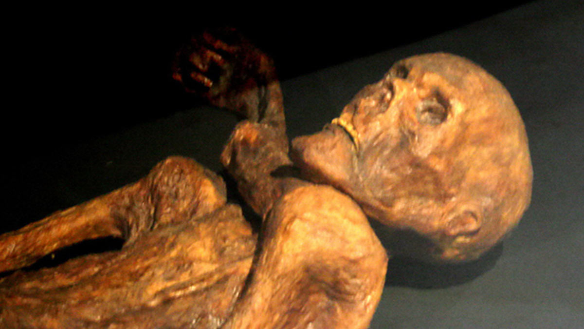 Ледяная мумия Этци