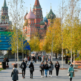 Потепление воздуха до +14ºC ожидается в Подмосковье в начале ноября