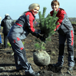 "Кузбассразрезуголь" высадил более 1,5 миллиона деревьев и кустарников