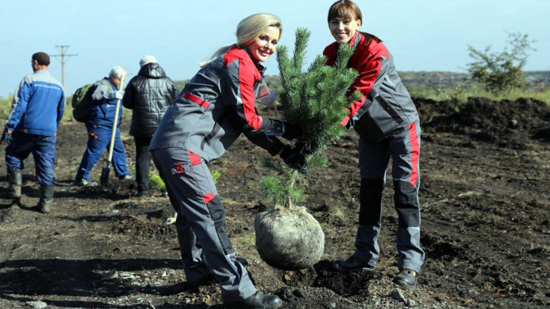 "Кузбассразрезуголь" высадил более 1,5 миллиона деревьев и кустарников
