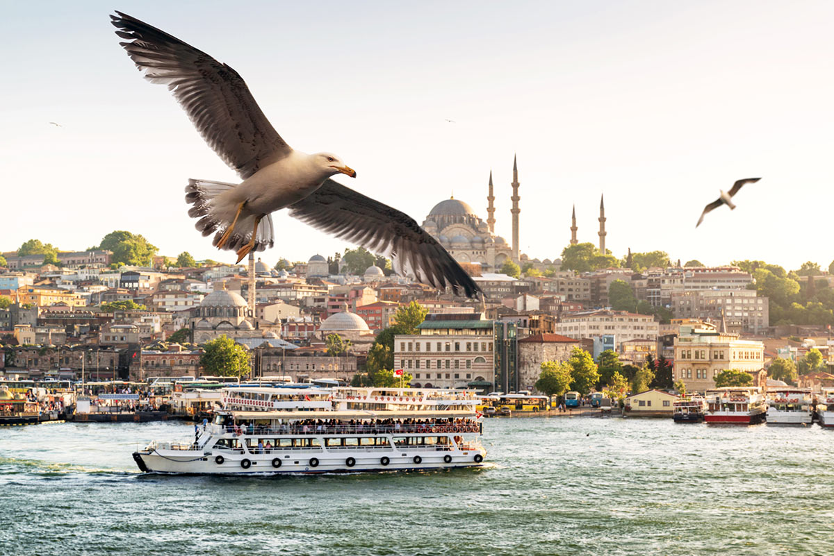 Туристический кораблик и чайка на фоне Стамбула со стороны Босфора