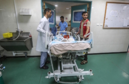 Глава ВОЗ: врачи в Газе вынуждены проводить операции без анестезии