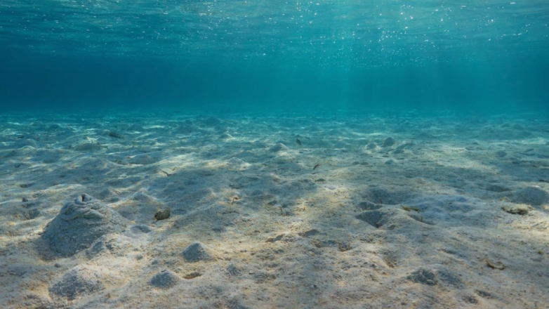 Ученые выяснили, откуда берутся многочисленные ямы на дне моря