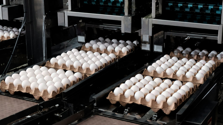 Казахстан может нарастить поставки куриных яиц в Россию
