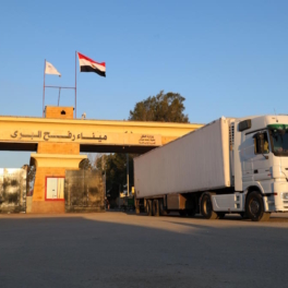 Действия Израиля мешают доставке помощи в Газу через Рафах, заявили в Египте