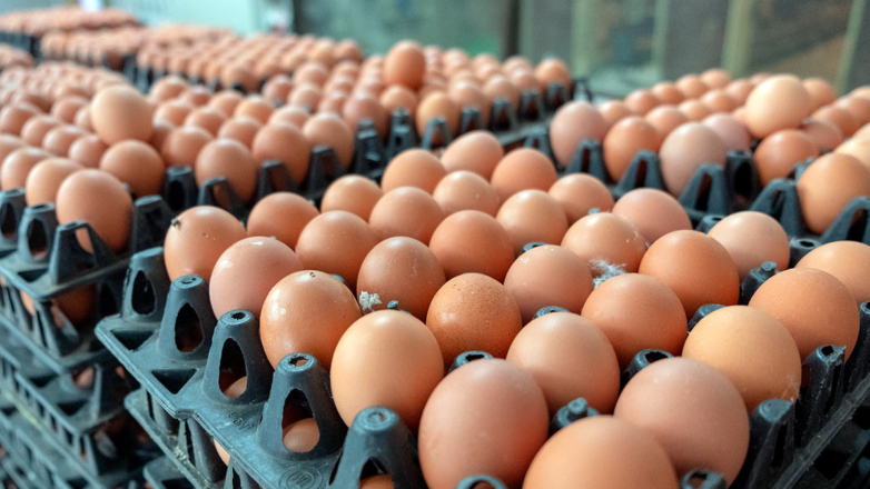 Совет ЕЭК предоставил РФ тарифную льготу для стабилизации цен на куриные яйца