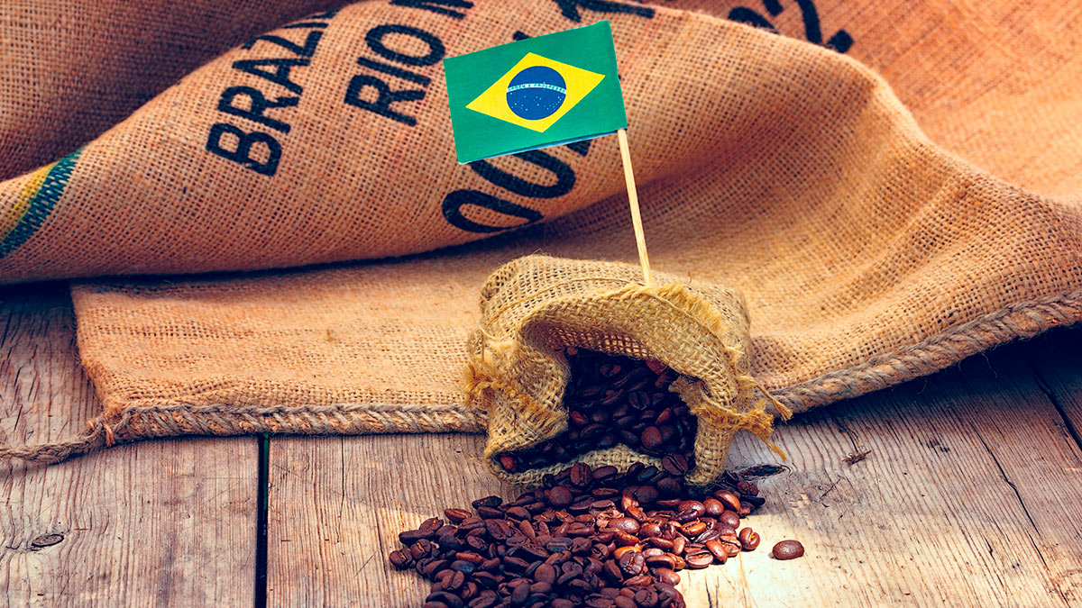 Эксперты предупредили о росте цен на кофе из-за засухи в Бразилии