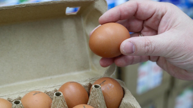 В России четвертую неделю подряд снижаются отпускные цены на куриные яйца