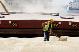 FT: ЕС будет взимать пошлину в €95 за тонну зерна из России и Белоруссии