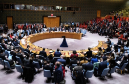 Спецпредставитель генсека ООН: Африка должна быть среди постоянных членов Совбеза ООН