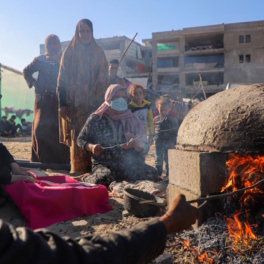 Глава ВОЗ: каждый пятый житель Газы страдает от нехватки продовольствия