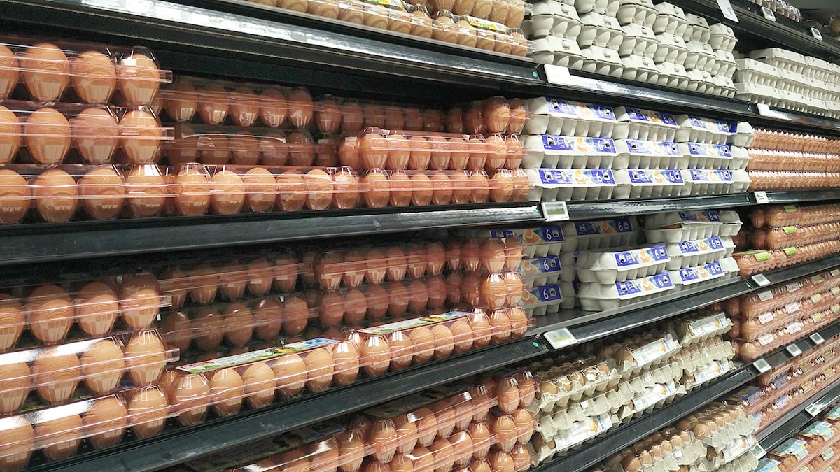 ФАС предложила торговым сетям ограничить наценку на куриные яйца до 5%