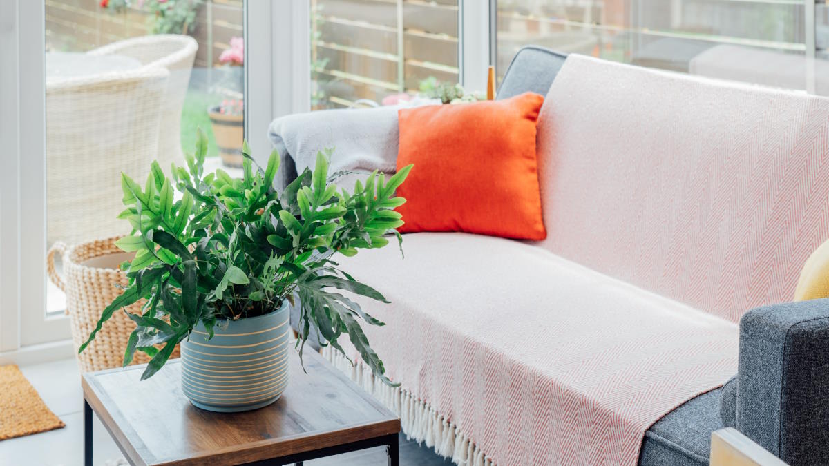 Как обновить диван без покупки нового: 4 способа скрыть пятна или защитить обивку