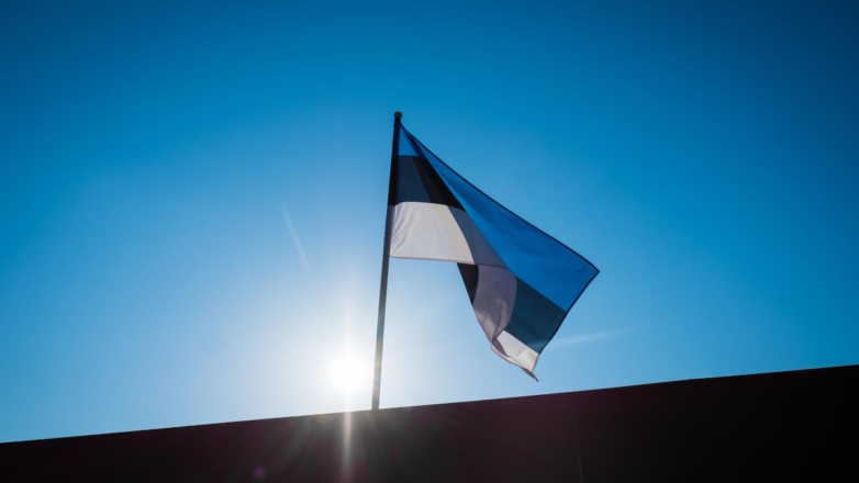 В Эстонии заявили, что работа по передаче замороженных активов РФ займет до двух лет
