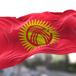 Киргизия надеется, что ограничения на работу в России не коснутся ее граждан