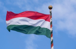 Тысячи протестующих против Орбана вышли на улицы в Венгрии