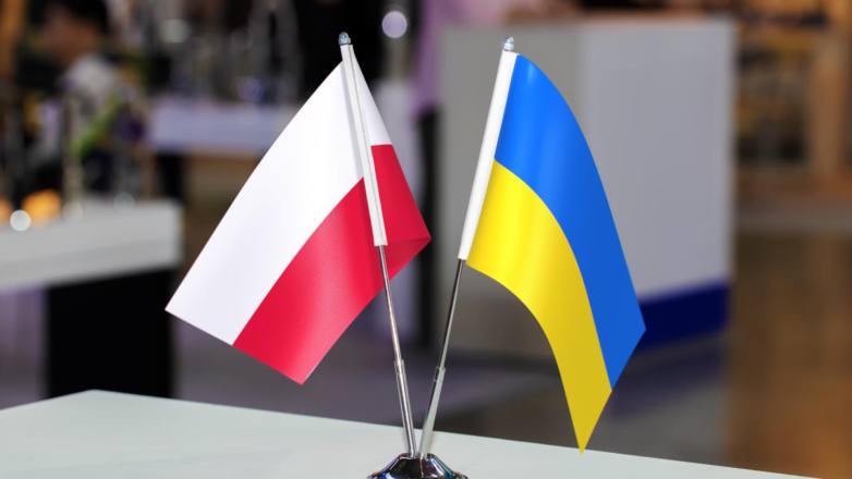Украина договорилась брать оружие у Польши в кредит