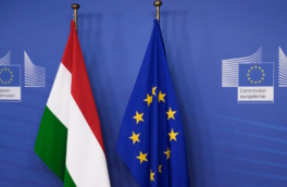 В Европарламенте призвали исключить Венгрию из Шенгена из-за виз для россиян
