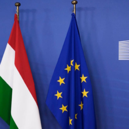 В Европарламенте призвали исключить Венгрию из Шенгена из-за виз для россиян