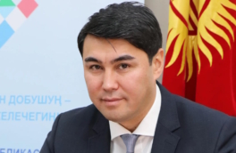 Спецслужбы Киргизии обвинили главу строительной компании в попытке госпереворота