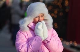 Москву ждет самый холодный день зимы, заявил синоптик