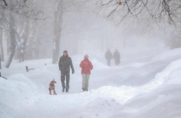 Высота снежного покрова в Москве достигла 39 см