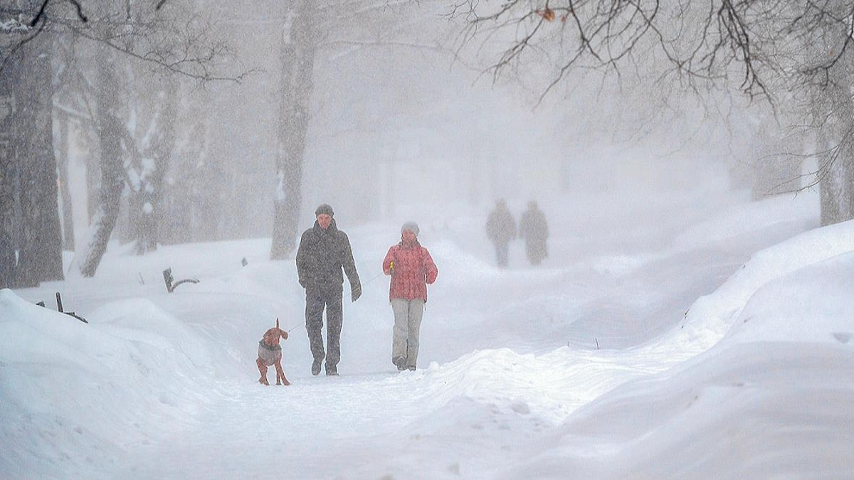В Москве досрочно выпала месячная февральская норма осадков