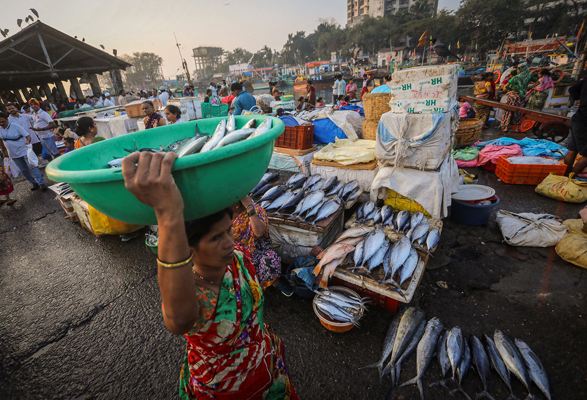 Женщина несет рыбу на рынке в Индии