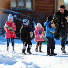 Запрет на изъятие земли и автомобилей у многодетных россиян прошел первое чтение в Госдуме