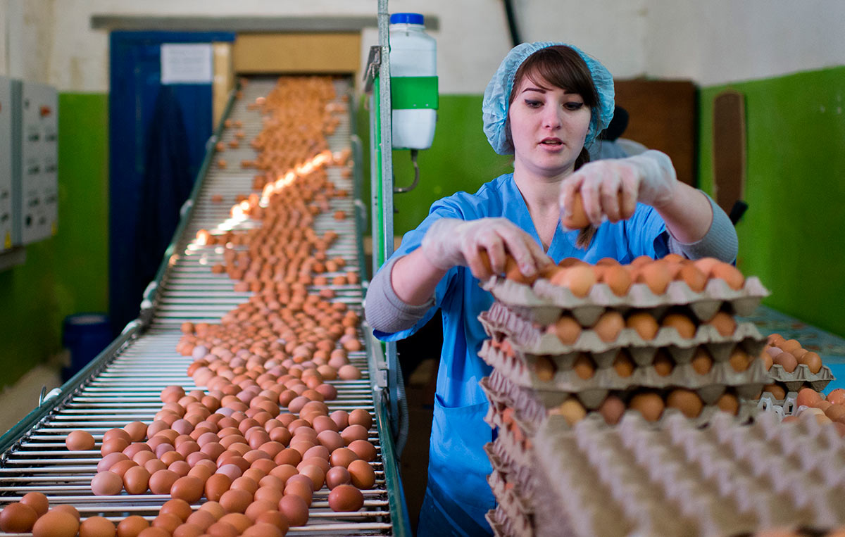 Фасовка яиц на птицефабрике в Омской области
