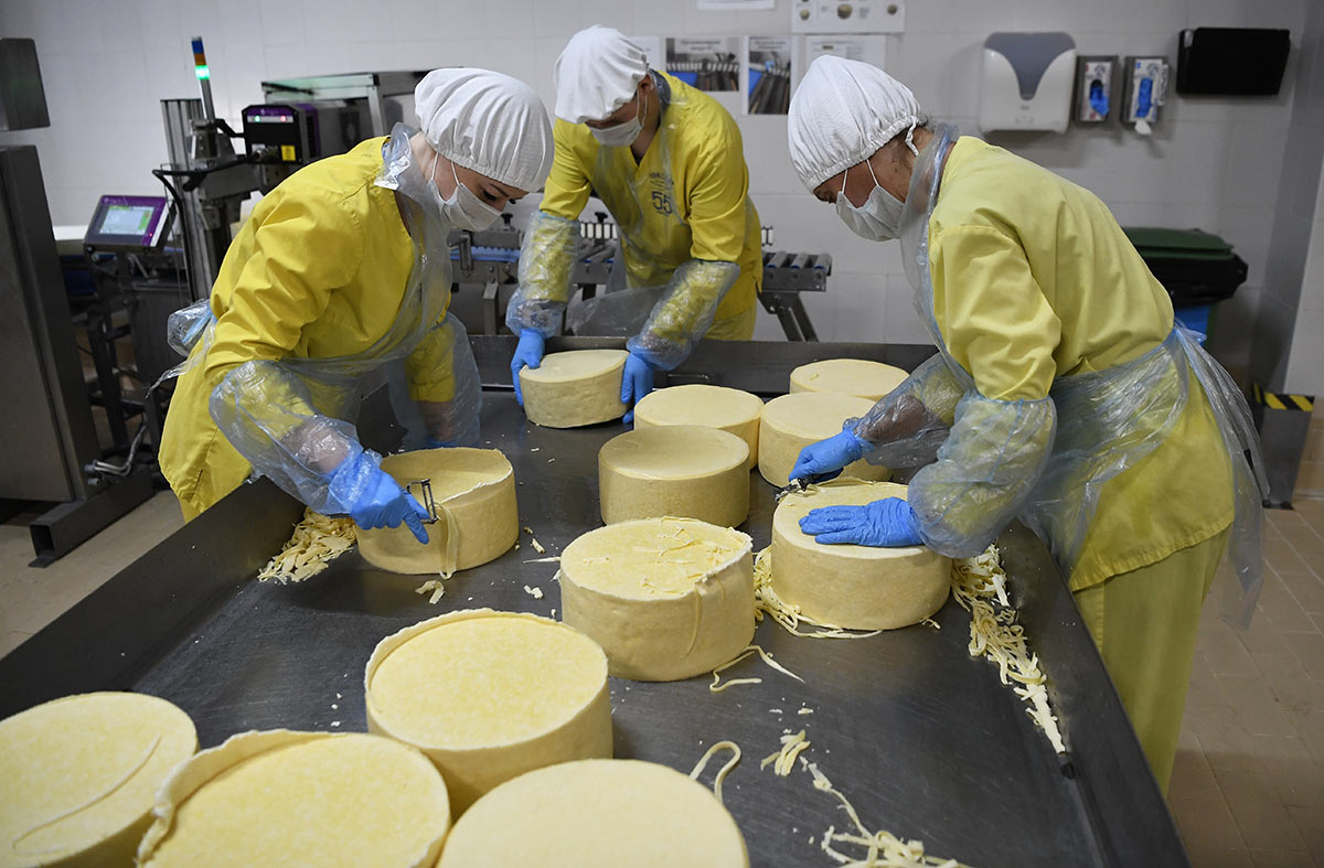 Производство сыров в Крыму