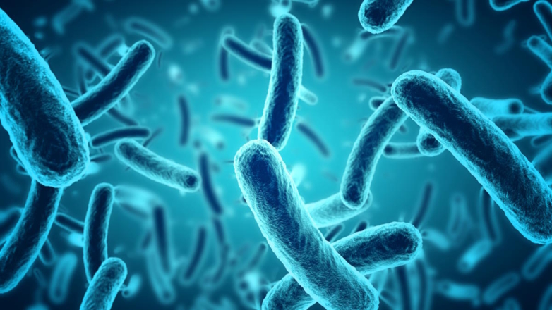 Ученые обнаружили новые компоненты микробиома человека – "обелиски"