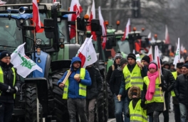 МВФ: протесты фермеров в Европе могут значительно повлиять на цены продуктов