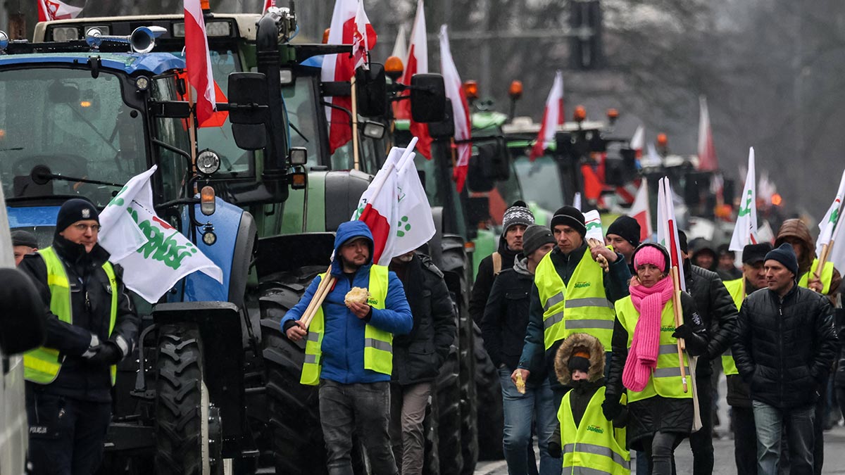 Европейские страны просят ЕК принять меры в связи с протестами фермеров