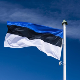 Командующий армией Эстонии назвал блокаду Балтики ключевым вопросом