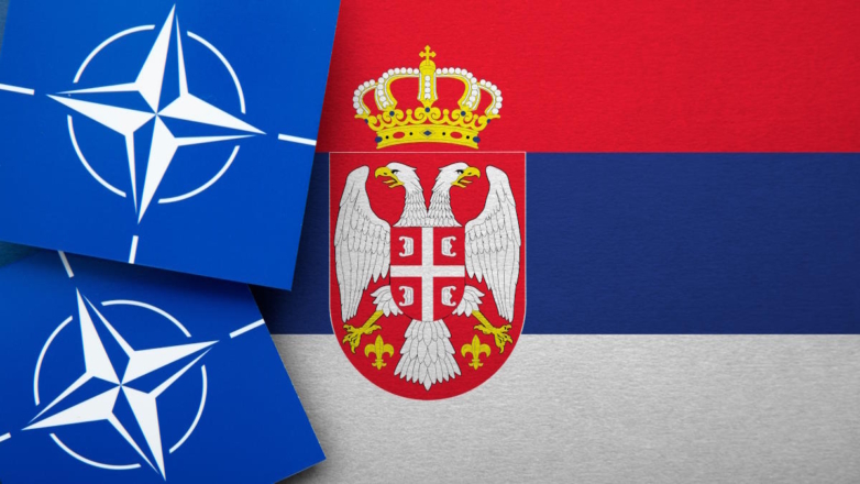 Экс-глава МИД Югославии: Сербия поставит вопрос о возмещении ущерба от НАТО