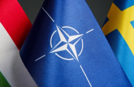 Парламент Венгрии одобрил заявку Швеции на вступление в НАТО