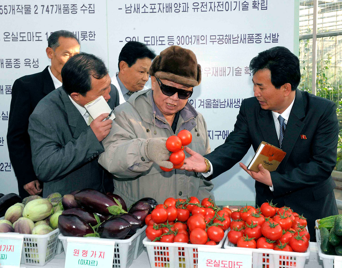 Лидер КНДР Ким Чен Ир посещает Пхеньянский институт овощеводства