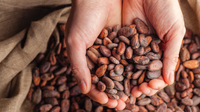 Цены на какао-бобы в мире достигли исторической отметки