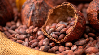 Bloomberg: производители шоколада сокращают количество какао в продуктах