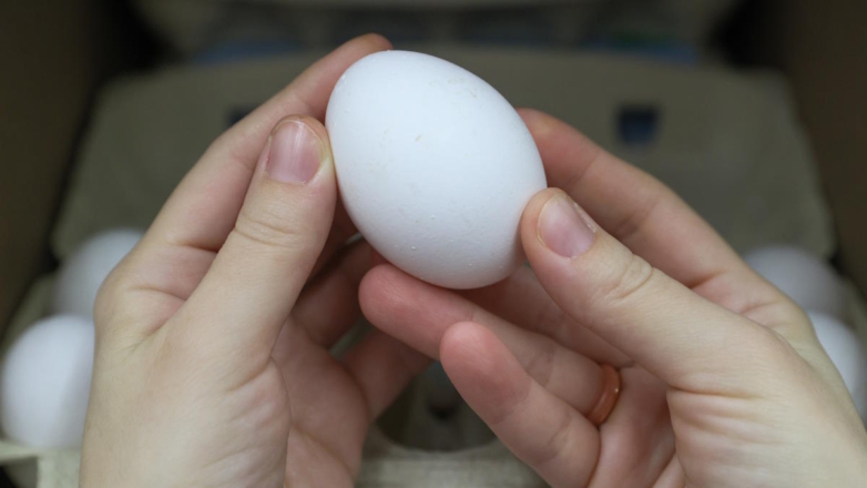 В "Руспродсоюзе" заявили о снижении розничных цен на яйца