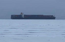 В порту Санкт-Петербурга сел на мель панамский контейнеровоз