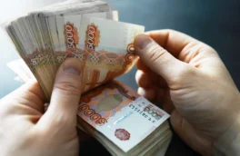 Страны БРИКС могут сотрудничать по возврату активов преступного происхождения